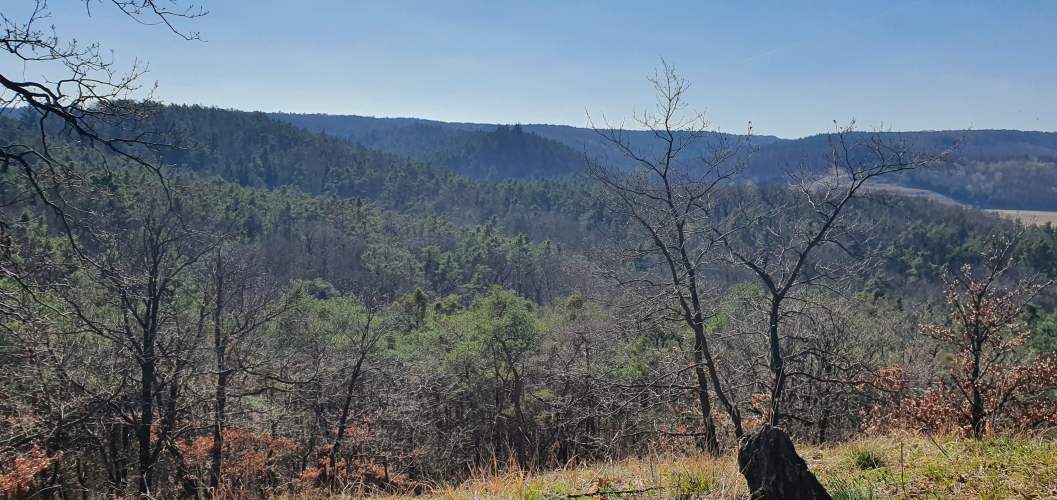 Blick über den herbstlichen Oberbarnim
