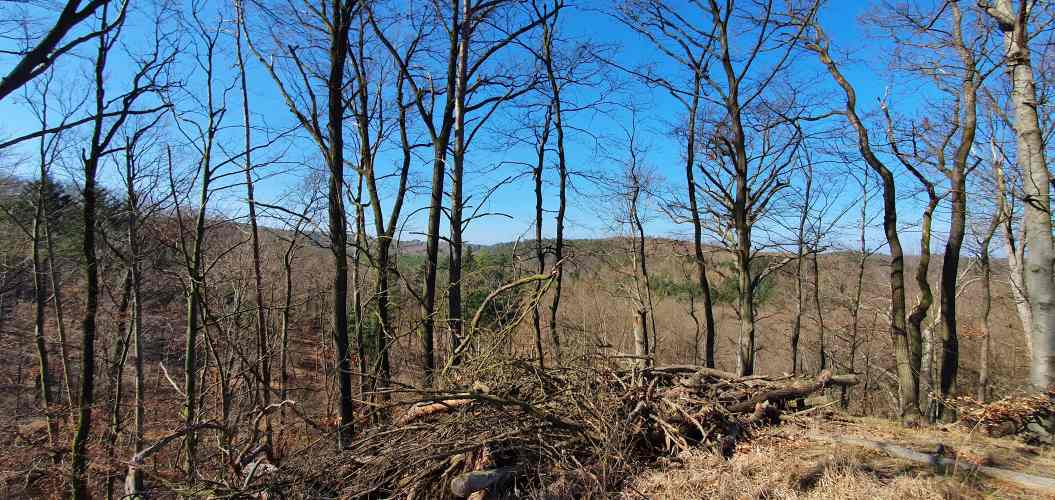 Weitblick von einem Hügel im herbstlichen Oberbarnim