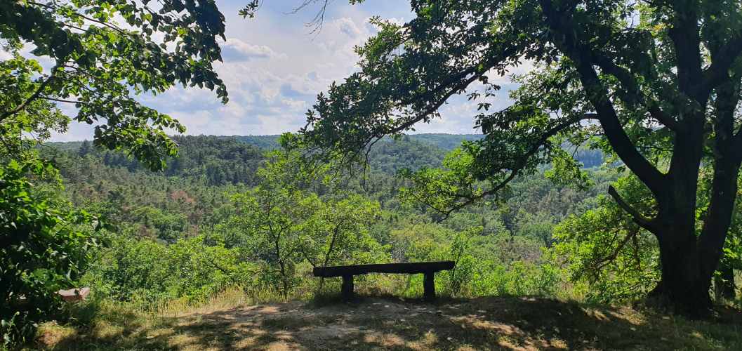Blick über den Oberbarnim im Sommer