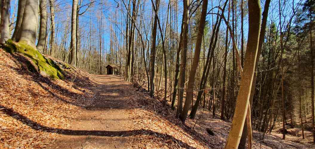 Schutzhütte im herbstlichen Oberbarnim