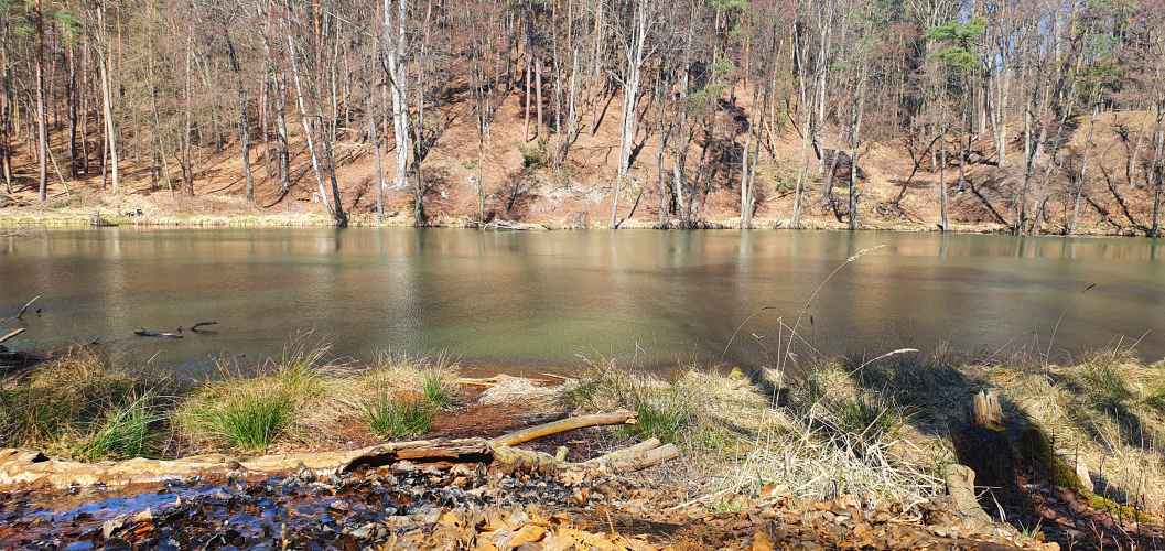 Das Südufer des Teufelsee im Herbst