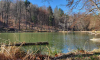 Ufer des Teufelsee im Oberbarnim im Herbst