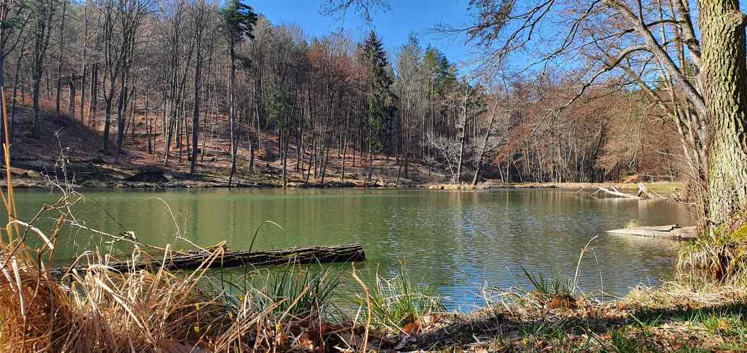 Ufer des Teufelsee im Oberbarnim im Herbst