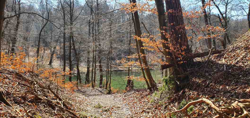 Blick auf den herbstlichen Teufelsee im Oberbarnim