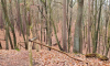 Panoramaweg in der Märkischen Schweiz mit herbstlicher Schlucht