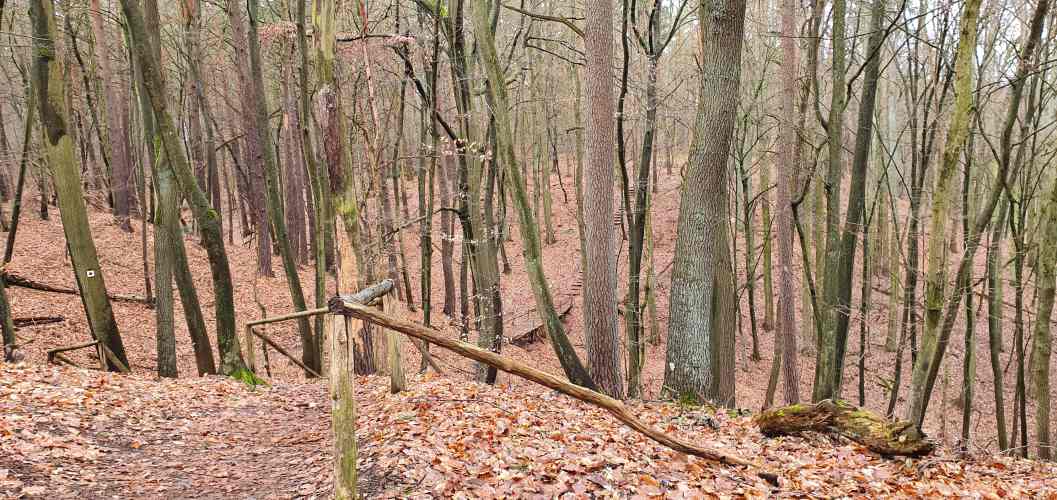 Panoramaweg in der Märkischen Schweiz mit herbstlicher Schlucht