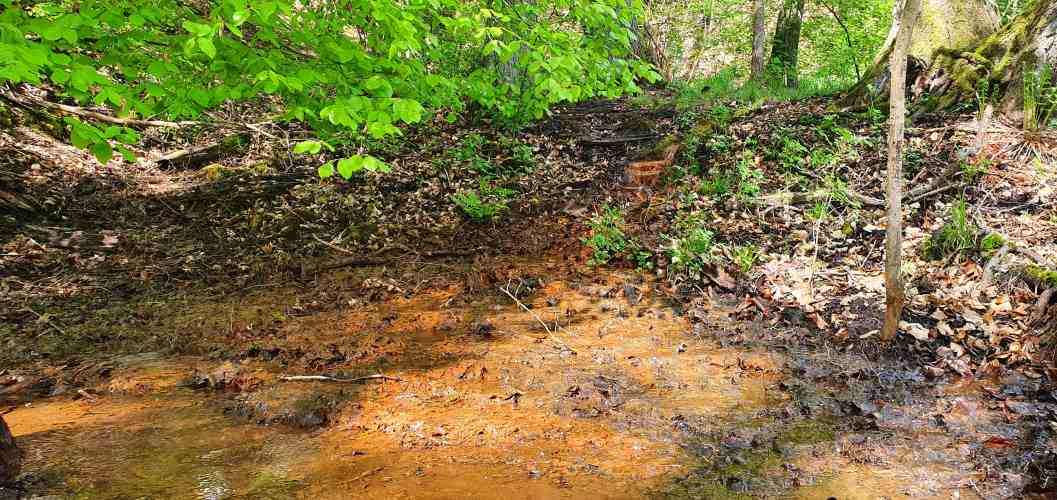 Wasserquelle am Schermützelsee