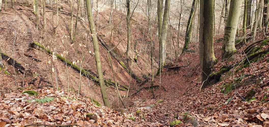 Die Schlucht Silberkehle in der Märkischen Schweiz