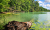 Bucht im Schermützelsee mit Seerosen