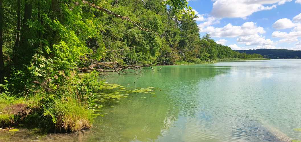 Bucht im Schermützelsee mit türkisfarbenen Wasser