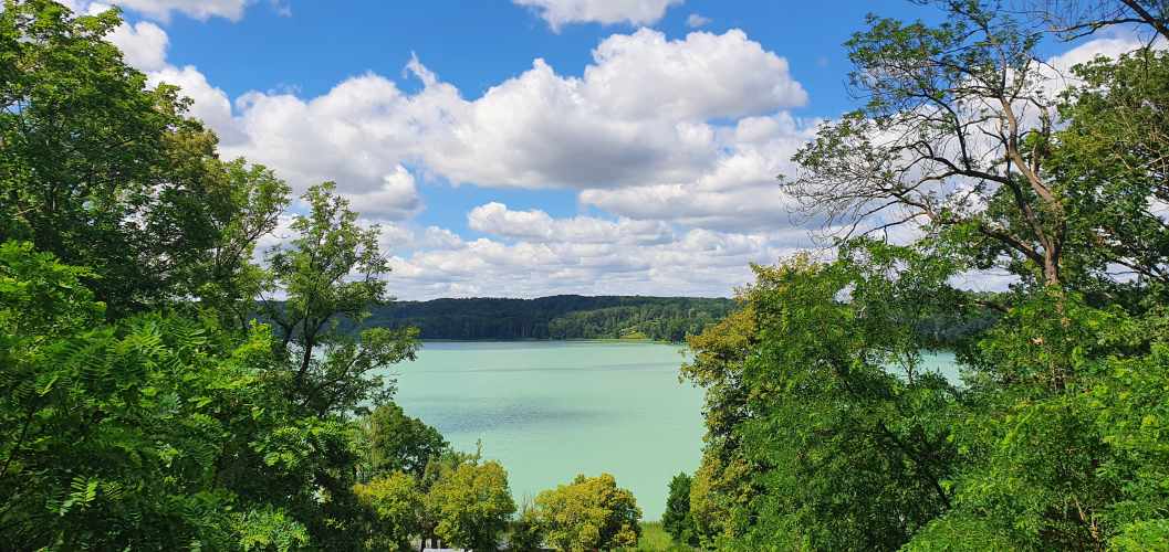 Sicht auf den Schermützelsee von Buckow