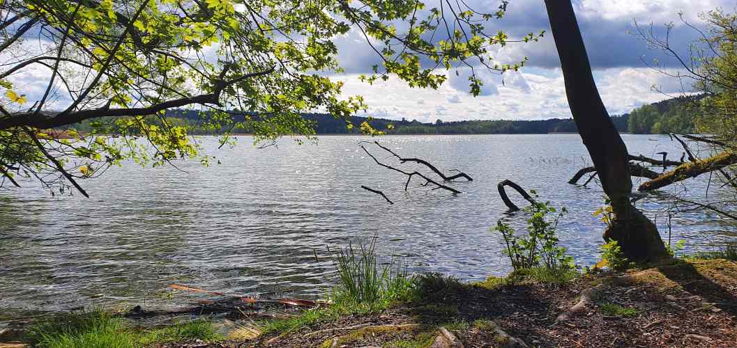 Westufer des Schermützelsees