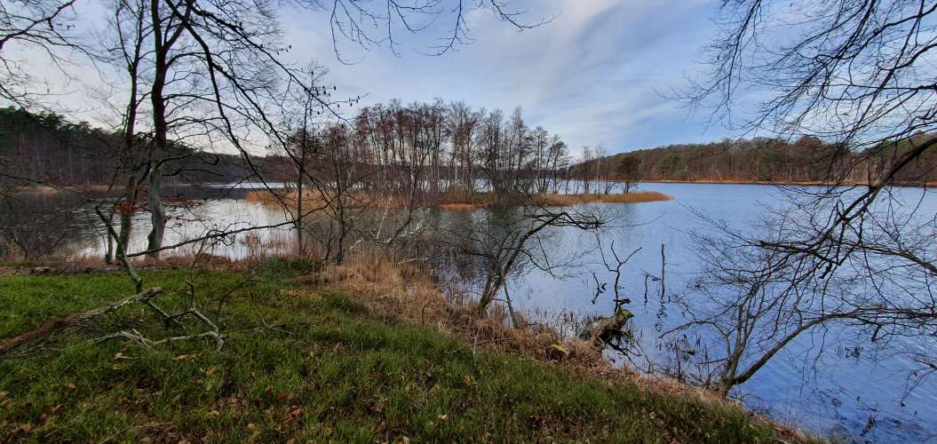 Bauminsel im herbstlichen Nehmitzsee