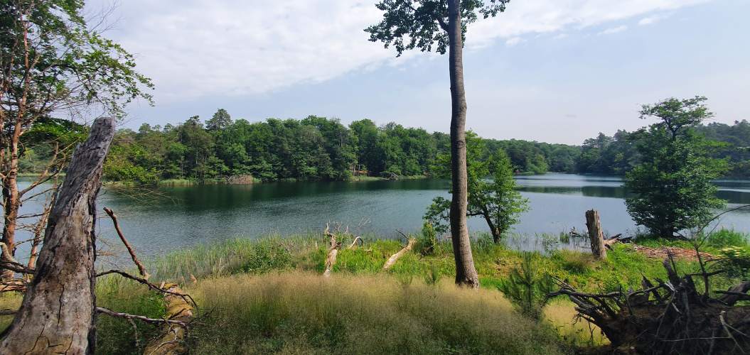 Blick über die sommerliche Ostbucht des Nehmitzsees
