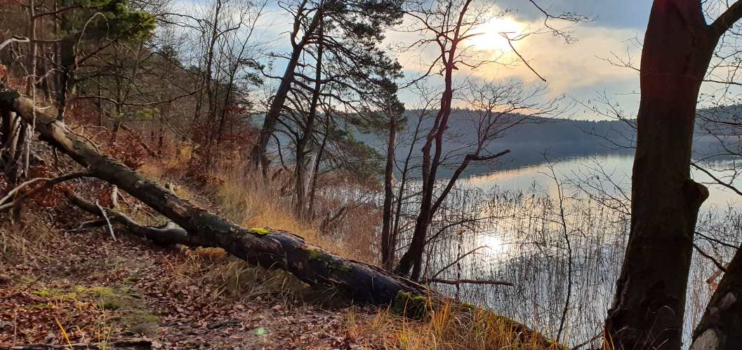 Herbstlicher Uferwanderweg am Nehmitzsee