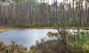 Zugefrorener Großer Barschsee auf Wanderung zwischen Roofensee und Nehmitzsee