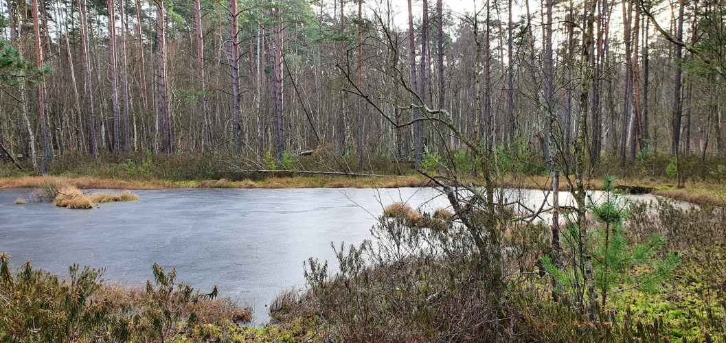 Zugefrorener Großer Barschsee auf Wanderung zwischen Roofensee und Nehmitzsee
