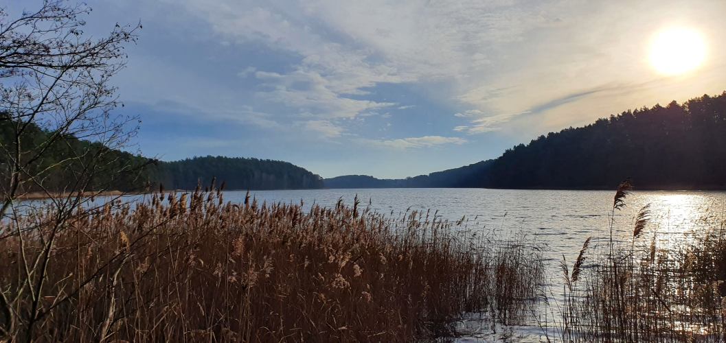 Blick von der Nordbucht über den Roofensee im Herbst