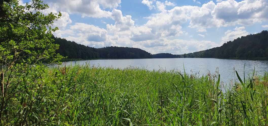 Blick von der Nordbucht über den Roofensee im Sommer