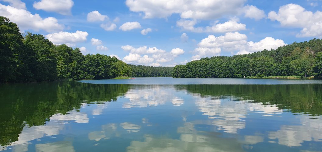 südliche Bucht des Roofensees im Sommer