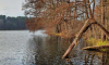 Uferbereich des Roofensees im Herbst