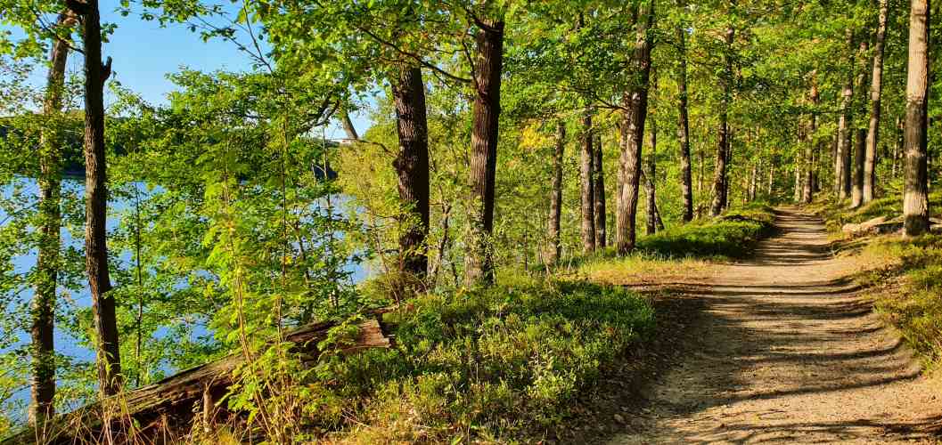 Wanderweg am Hammersee im Schlaubetal