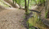 Wanderweg neben Planfliess im Schlaubetal