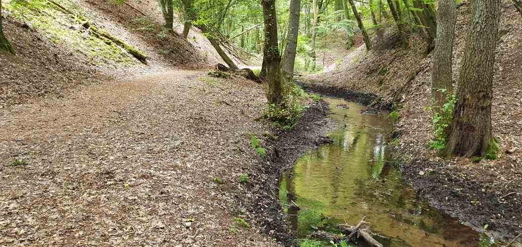 Wanderweg neben Planfliess im Schlaubetal