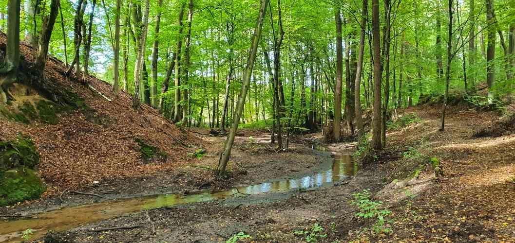 Planfliess beim Schlaubetal