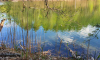 Klarer Schervenzsee im Schlaubetal