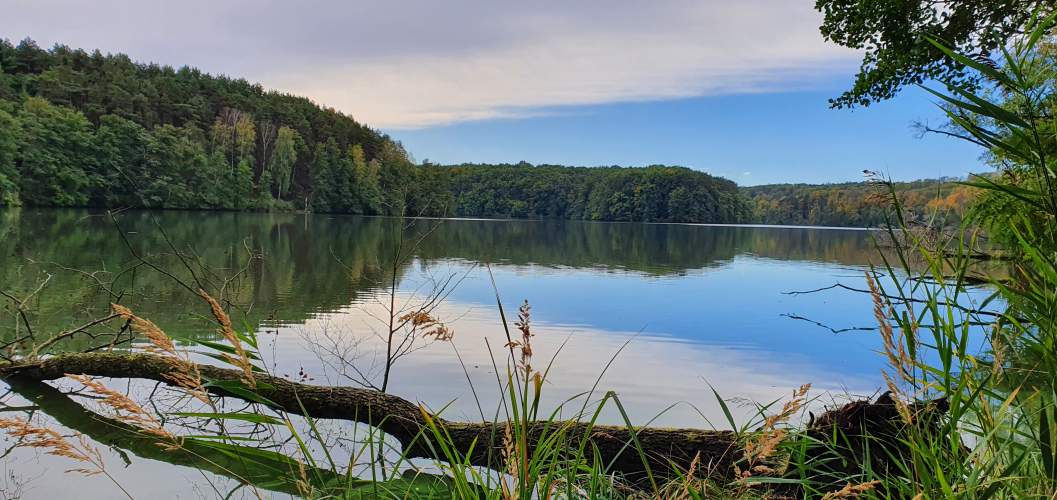 Schlaubetal mit Blick über ruhige Seeoberfläche