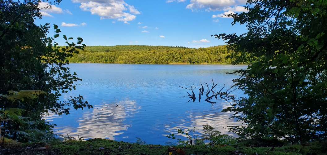 Schlaubetal mit Blick auf das Sonnenufer