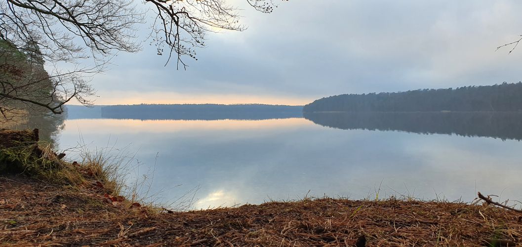 Blick über den ruhigen Stechlinsee zur Halbinsel