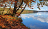 Ufer des Stechlinsee an einem goldenen Herbsttag