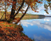 Ufer des Stechlinsee an einem goldenen Herbsttag