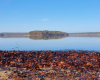 laubbedeckter Strand am Stechlinsee an einem sonnigen Herbsttag