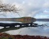 ruhiger Stechlinsee an einem Herbstmorgen
