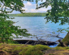 Blick auf den Stechlinsee von mosbewachsener Baumbank