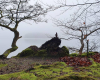 Wanderung um den Stechlinsee bei Nebel