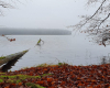 nebliger Stechlinsee