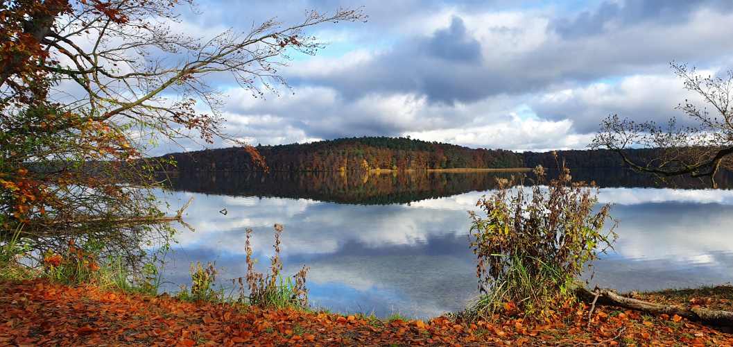 Stechlinsee an einem ruhigen Herbsttag