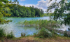 Stechlinsee mit Sonnenbucht auf Wanderung im Sommer