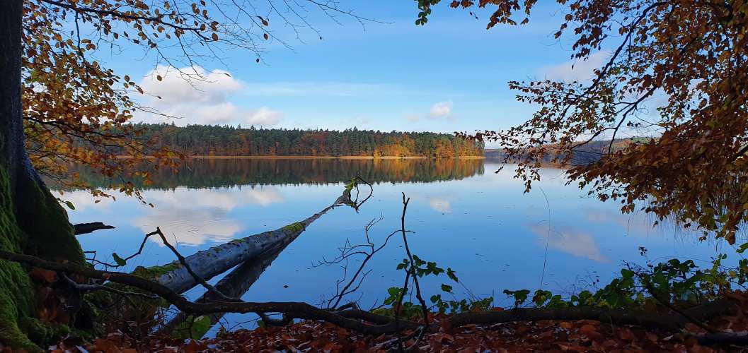 Blick über den Stechlinsee zum gegenüberliegenden Sonnenufer