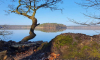 Stechlinsee an einem sonnigen Herbstmorgen