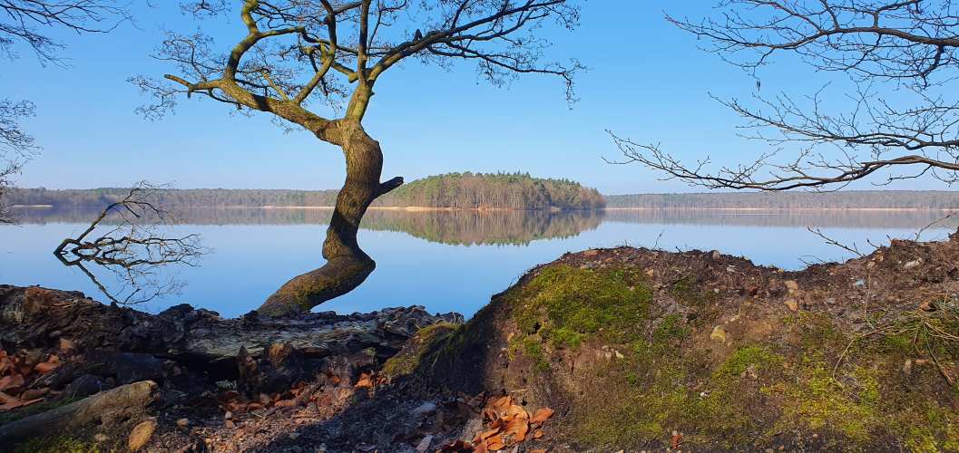 Stechlinsee an einem sonnigen Herbstmorgen
