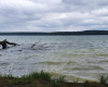 Stechlinsee an einem stürmischen Tag
