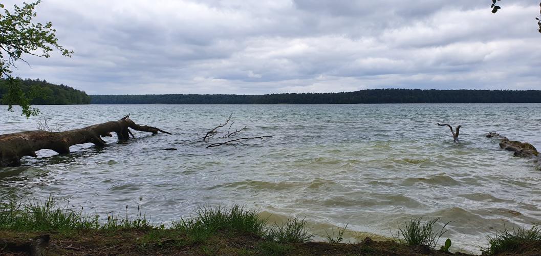 Stechlinsee an einem stürmischen Tag