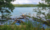 Stechlinsee mit typischen Uferbewuchs