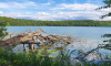 Blick auf Stechlinsee mit umgestürzten Baum am Ufer