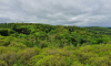 Weitblick vom Bismarckturm auf der Turmwanderung im Oberbarnim